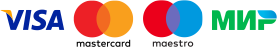 Сонный гномик Visa Сонный гномик Visa payment logo